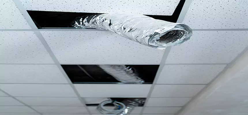 Our Air Duct Pet Hair Removal Services in Baltimore, MD