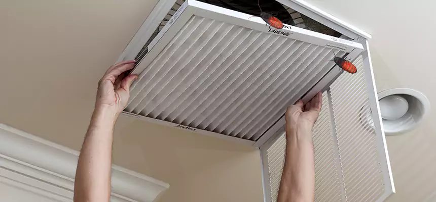 Our Insect Removal from Air Ducts Services in Baltimore, MD
