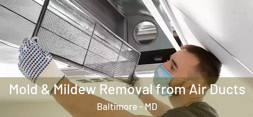 Mold & Mildew Removal from Air Ducts Baltimore - MD