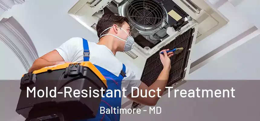  Mold-Resistant Duct Treatment Baltimore - MD