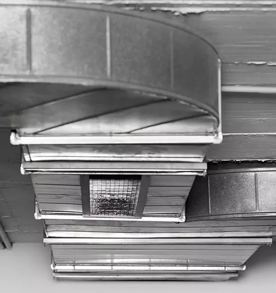 Professional Air Duct Pet Hair Removal in Baltimore, MD