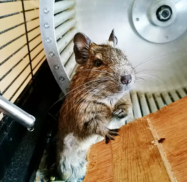 Why Homeowners & Businesses Trust Us Baltimore, MD