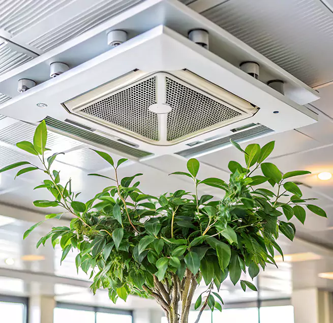 Why Homeowners & Businesses Trust Us in Baltimore, MD