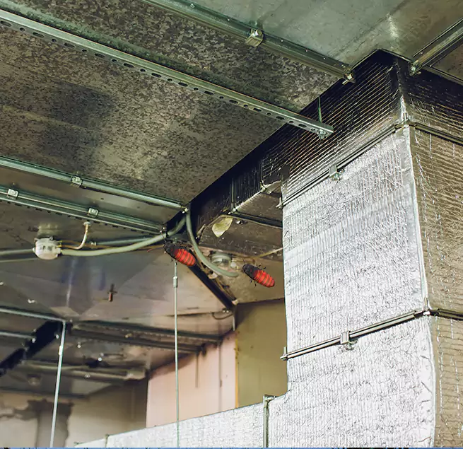 Why Homeowners & Businesses Trust Us Baltimore, MD?