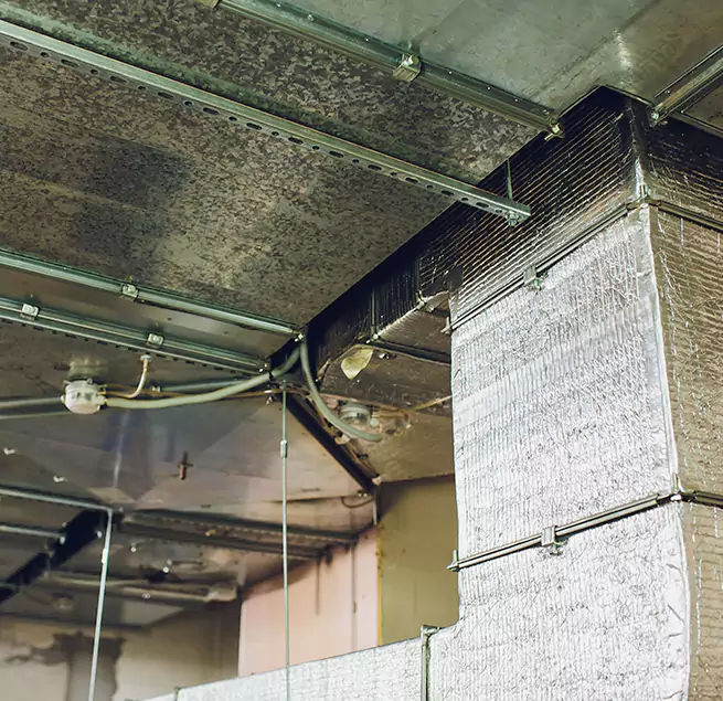 Why Homeowners & Businesses Trust Us in Baltimore, MD?